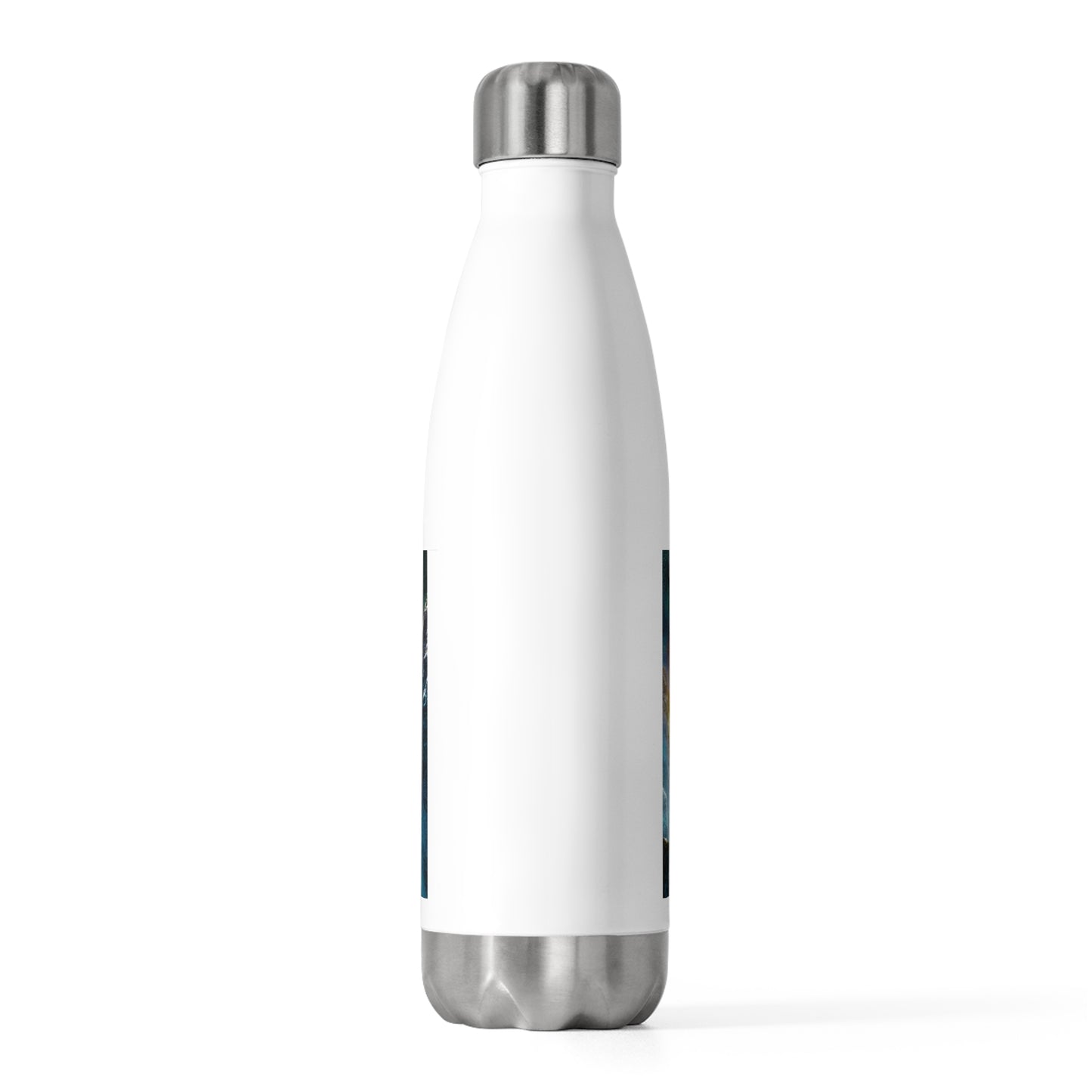 20oz Insulated Bottle - Ben Archer and the Alien Skill