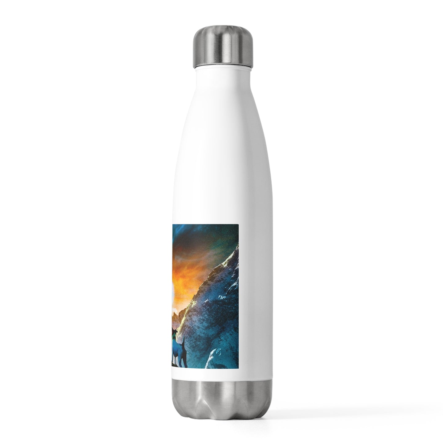 20oz Insulated Bottle - Ben Archer and the Alien Skill